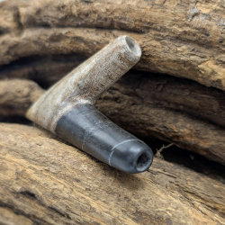 Fossielen Kuripe - Versteend Hout