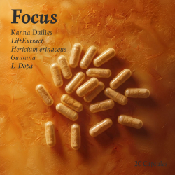 FOCUS Kanna Dailies | Concentration & Mental Clarity | 20 Capsules