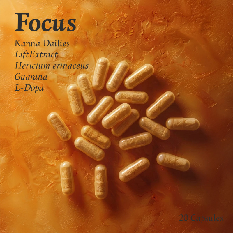 FOCUS Kanna Dailies | Concentration & Mental Clarity | 20 Capsules