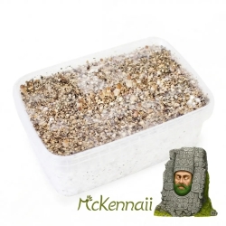 Buy Cubensis Mckennaii Magic Mushroom Grow Kit online | Next Level