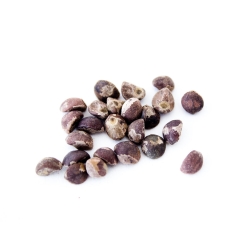 LSA Seeds Hawaiian Baby Woodrose - Hawaii &euro; 7,95