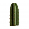 Mescaline Cactussen San Pedro (Echinopsis Pachanoi) - vanaf 25 cm   23,50 | Next Level Smartshop Webshop