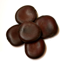 Entada Rheedii - African Dream Herb 50x Extract - liquid herbal extract