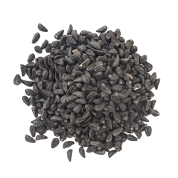 Morning Glory - Ipomoea Tricolor Seeds - product overview Morning Glory - Ipomoea Tricolor Seeds - product overview