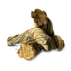 Caapi Altar Piece - decorative Ayahuasca vine piece Caapi Altar Piece - decorative Ayahuasca vine piece