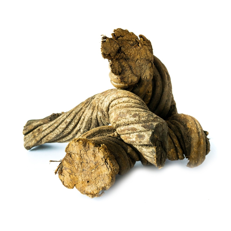 Ethnobotanicals Caapi Altar Piece € 79,50 Next Level Smartshop Webshop Ethnobotanicals Caapi Altar Piece € 79,50 Next Level Smartshop Webshop