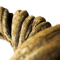 Caapi Altar Piece - decorative Ayahuasca vine piece - bark structure detail Caapi Altar Piece - decorative Ayahuasca vine piece - bark structure detail