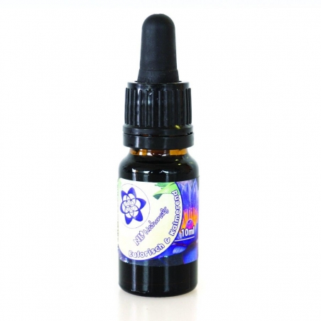 Blue Lotus Flower Extract 10ml - Tinctures & Extracts - Next Level