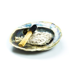 Abalone Shell - Large - ceremonial smudge dish