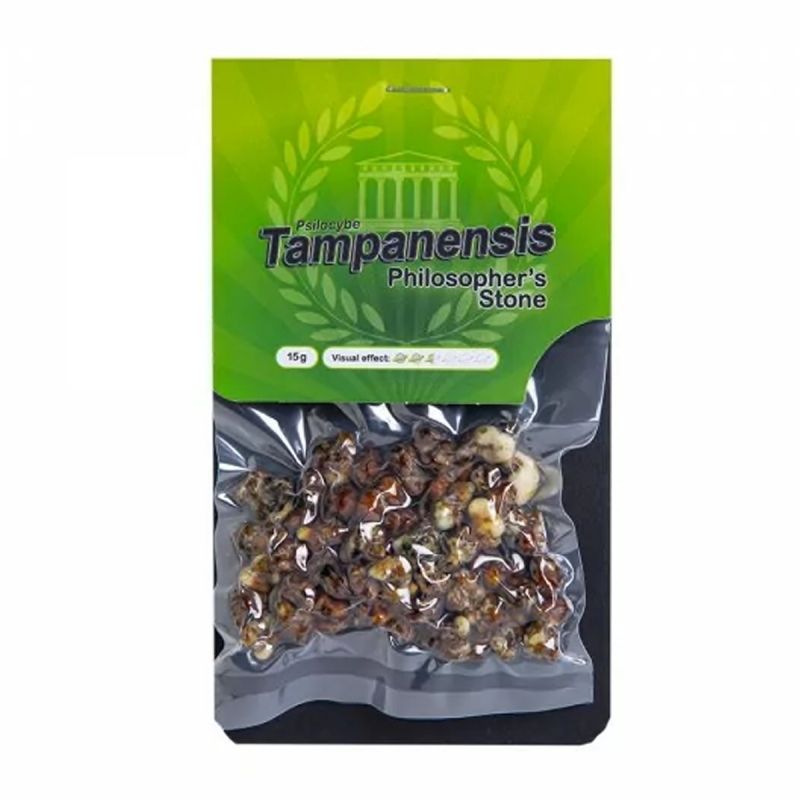 Magic Truffles Magic Truffles Tampanensis - 15 grams   13,25 Next Level Smartshop Webshop