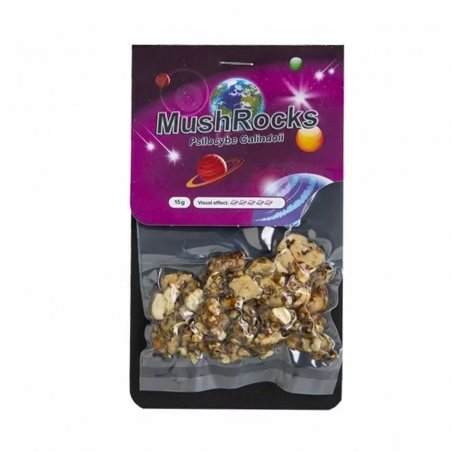 Magic Truffels Mushrocks - 15 gram - Magic Truffels - Next Level