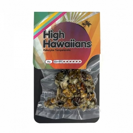 Magic Truffles Magic Truffles High Hawaiians - 22 g   € 19,95 Next Level Smartshop Webshop