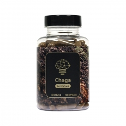 Chaga Mushroom Powder 120 caps |  €34,95 | Next Level Smartshop Webshop