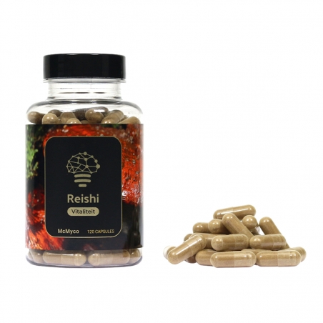 Reishi Mushroom Extract 120 capsules - Paddenstoel extracten - Next Level