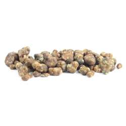Magic Truffles | Next Level Smartshop