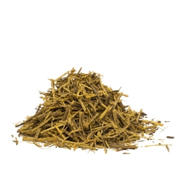 Banisteriopsis Caapi Trueno - Shredded - shredded Ayahuasca vine - bark structure detail