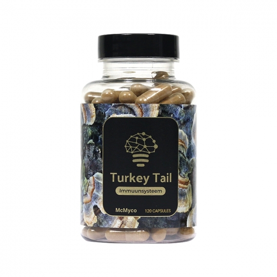 Turkey Tail Extract (120 capsules)