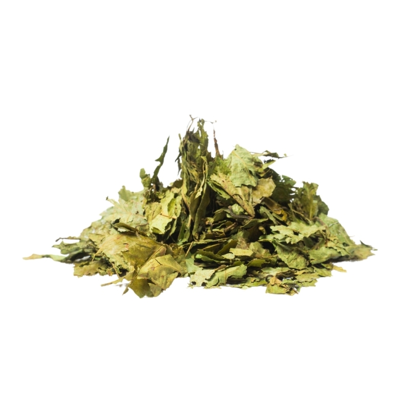 Dried Caapi Leaves - Banisteriopsis Caapi - dried vine leaves - texture and cross-section