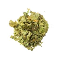 Dried Caapi Leaves - Banisteriopsis Caapi - dried vine leaves - bark structure detail