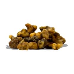 Microdosing with Magic Truffles 2x5g| Next Level Smartshop Webshop