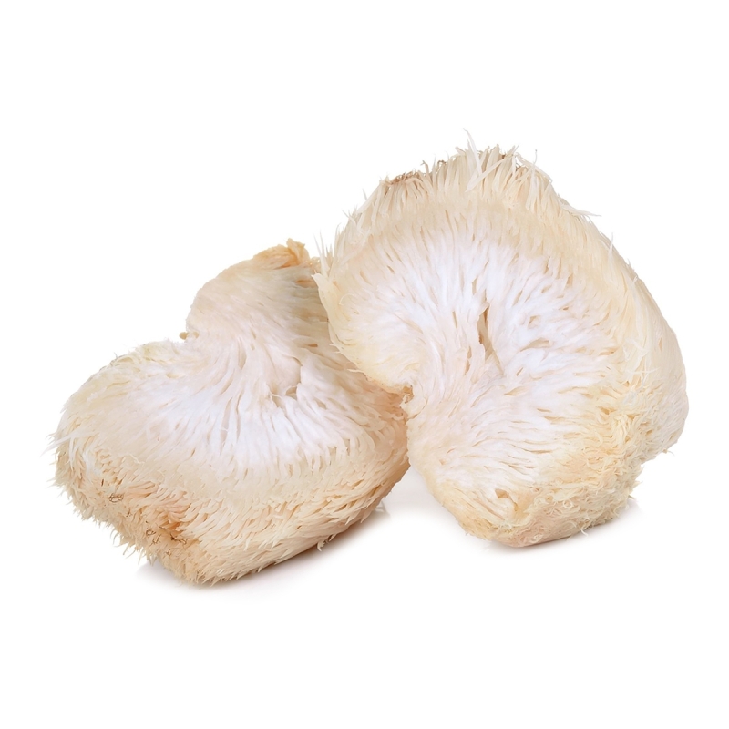 Lion's Mane - Liquid Mushroom Extract (30ml) - liquid medicinal mushroom extract Lion's Mane - Liquid Mushroom Extract (30ml) - liquid medicinal mushroom extract