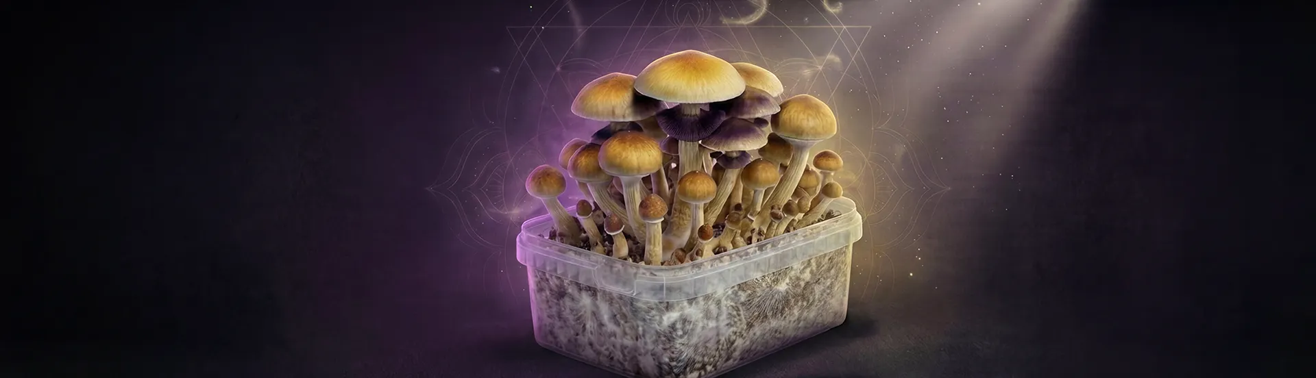 Grow Kits Slide background