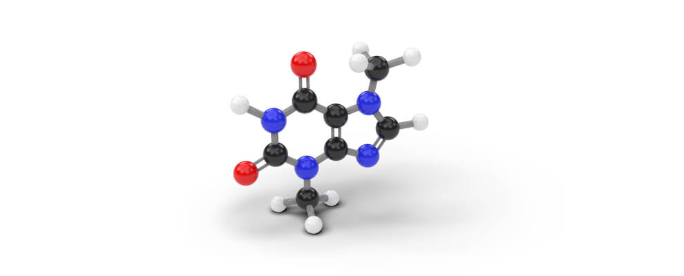 Theobromine molecule