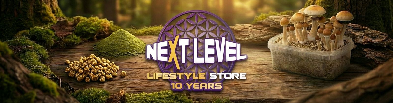 10 years of Next Level Smart - anniversary banner