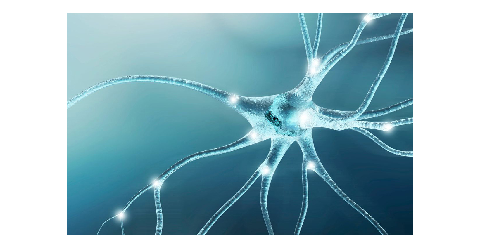 lion's mane health benefits