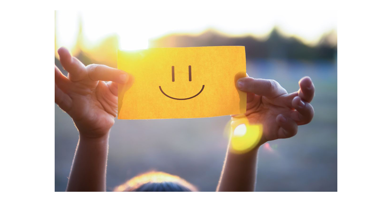 lion's mane health benefits