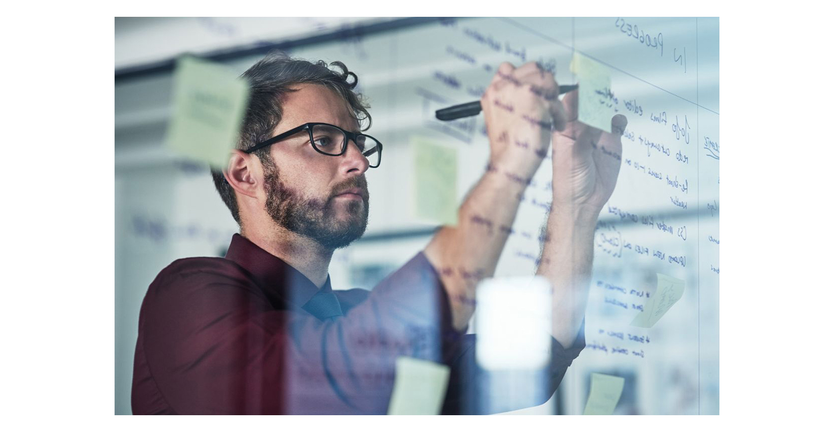 lion's mane health benefits