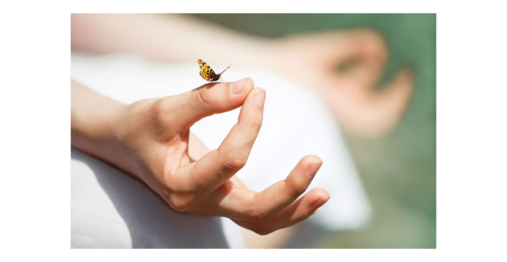 Preparing for a mushroom trip