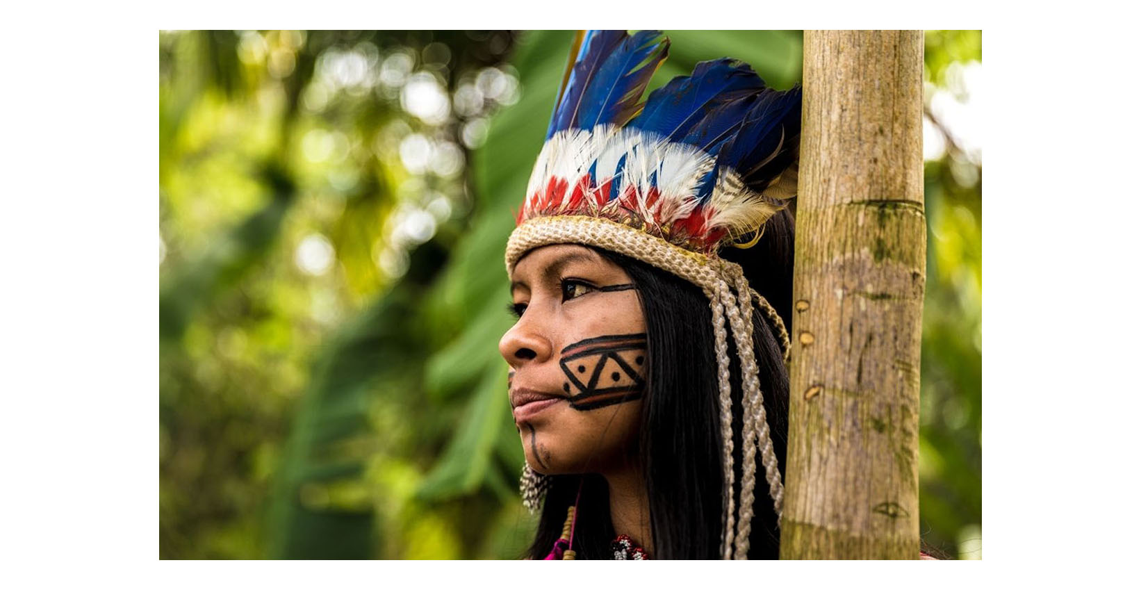 amazonian tribe history