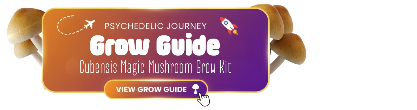 magic mushroom grow kit guide