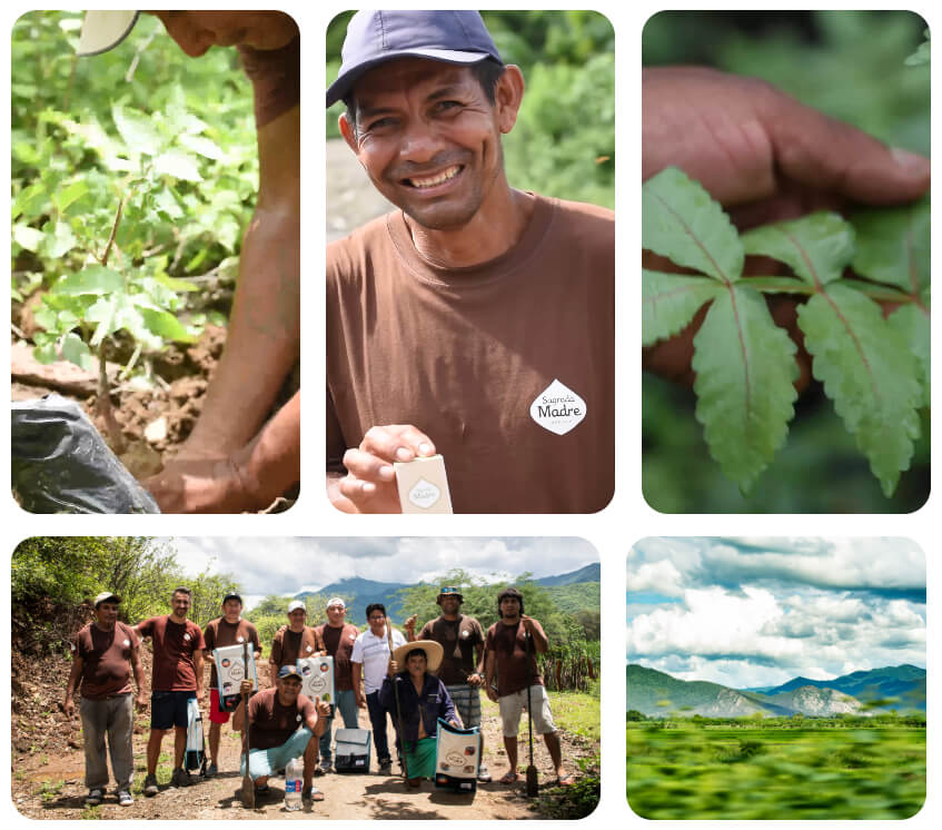 The Sagrada Madre team