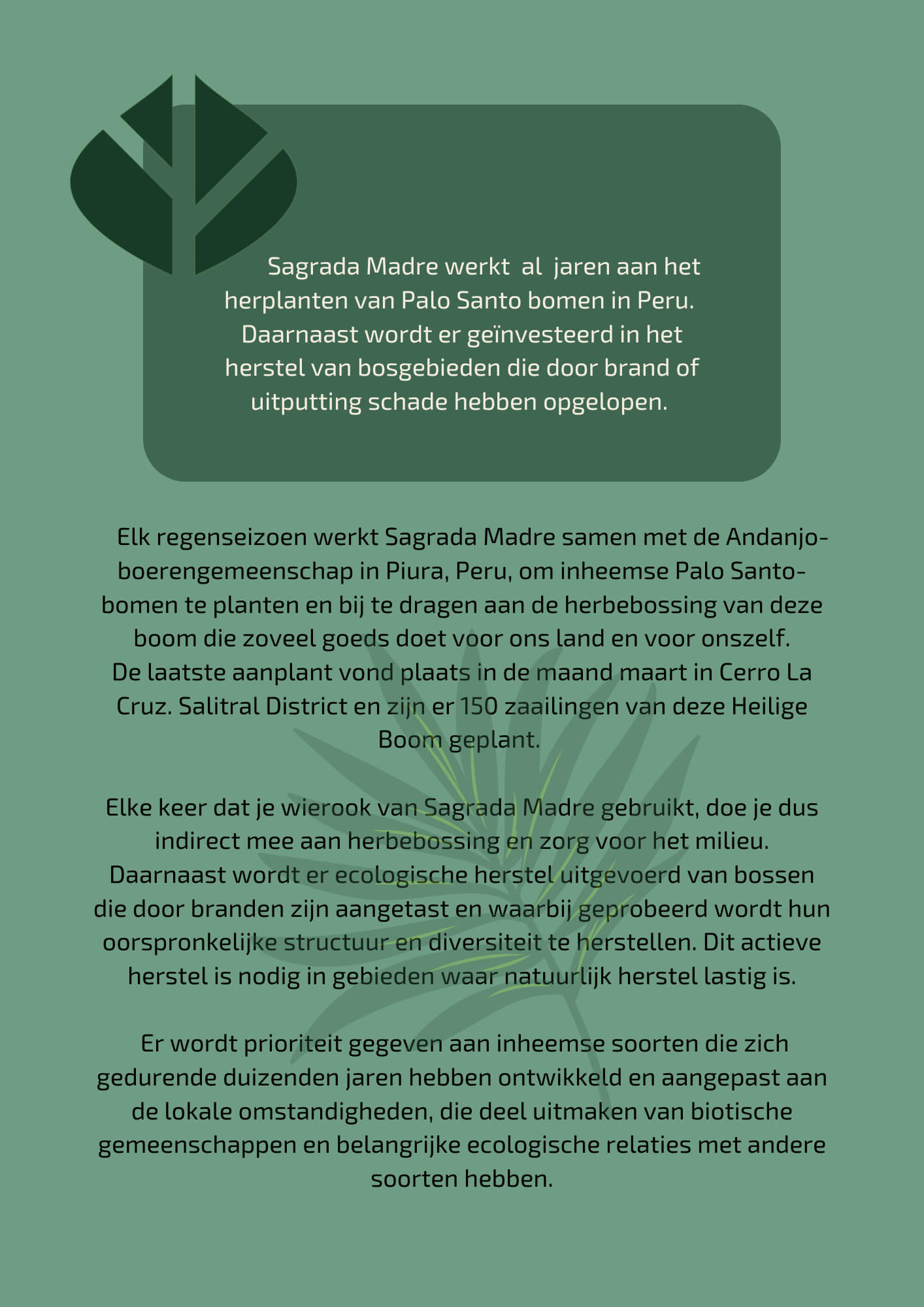 Sagrada Madre herbebossing project