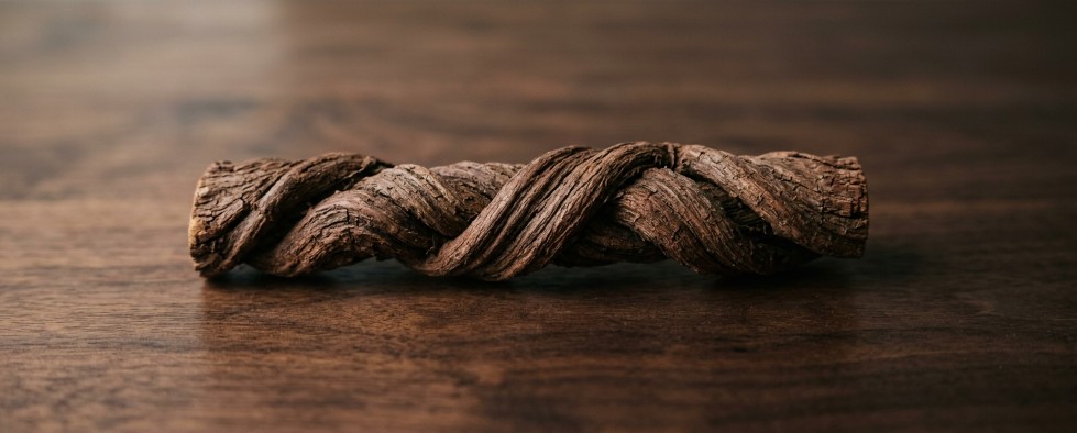 Banisteriopsis caapi liaan close-up