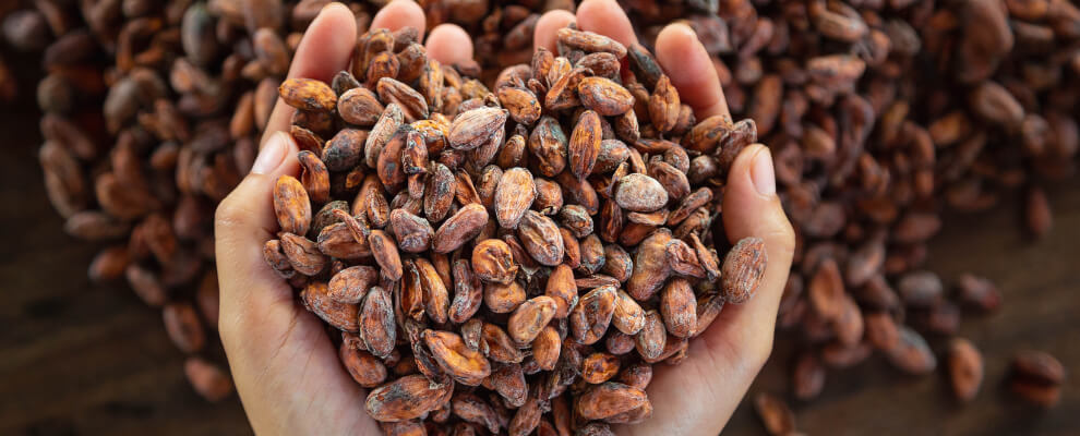 Cacao ceremony with intention and attention