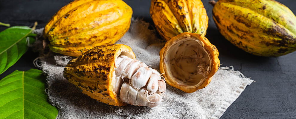 Different types of ceremonial cacao