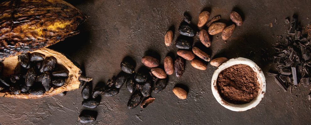 Different types of cacao beans side by side