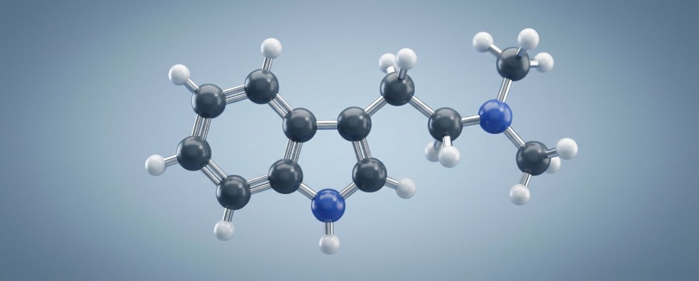 DMT molecuul illustratie 3D weergave indool ring