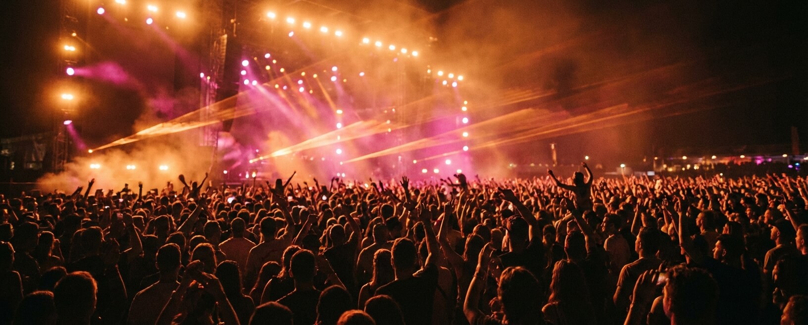 Festival dancing crowd