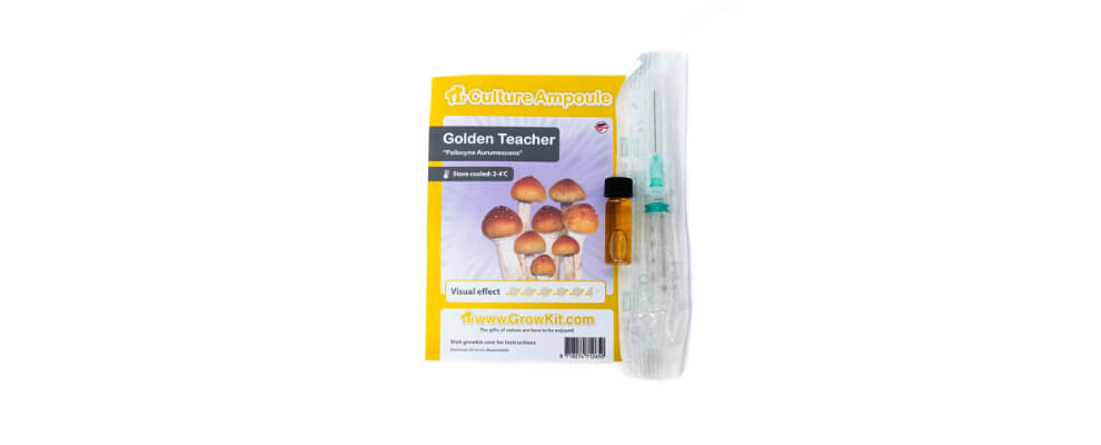 Golden Teacher culture ampoule