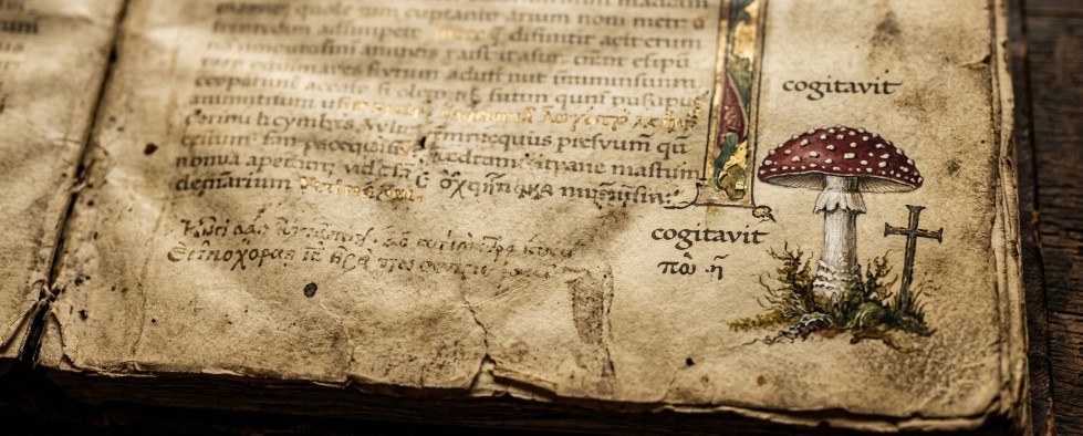 John Allegro paddo Jezus theorie