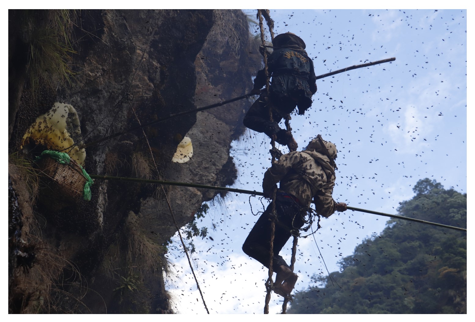 mad honey hunters in the himalayas