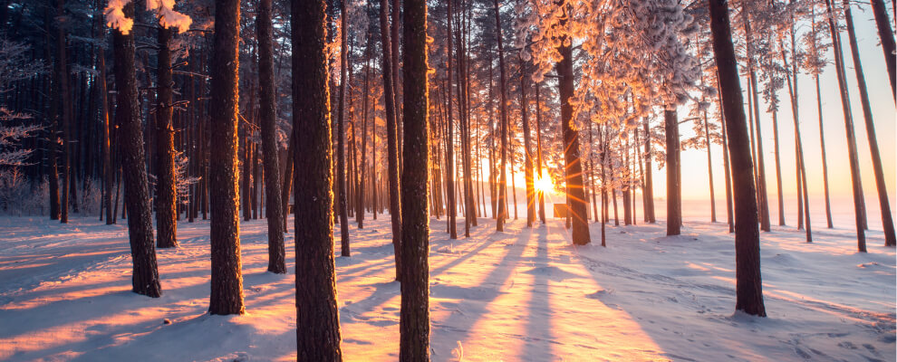 Winter wellness lifestyle with natural support and relaxation