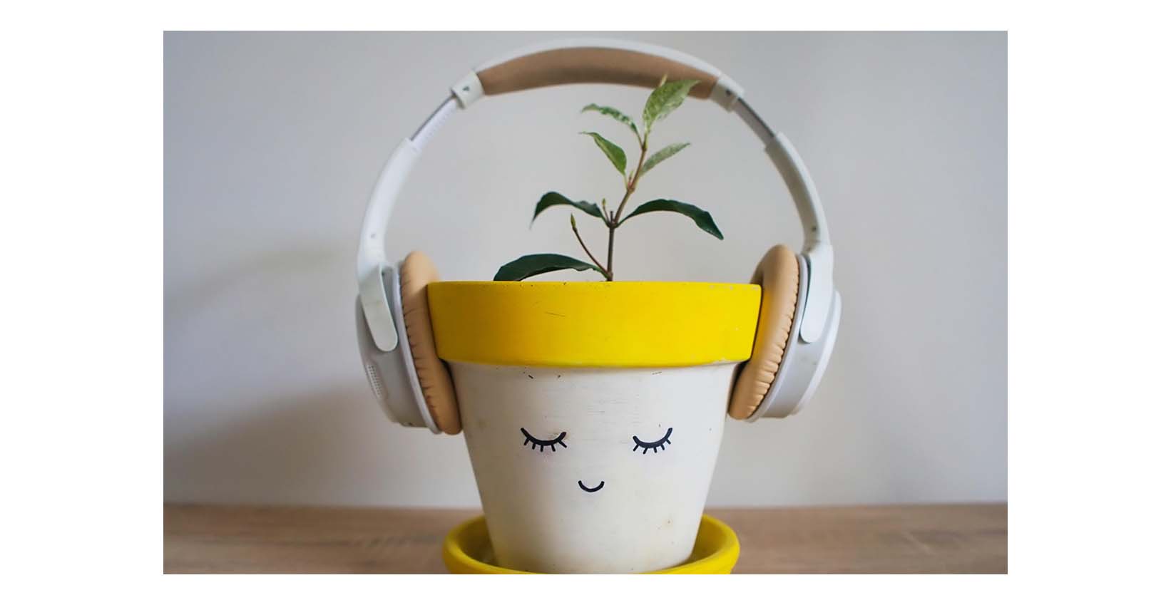 plant listening to music