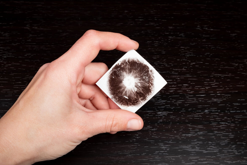 Artistic spore print of a mushroom