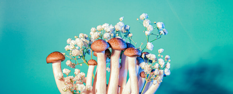 Psilocybin mushroom therapy scientific research