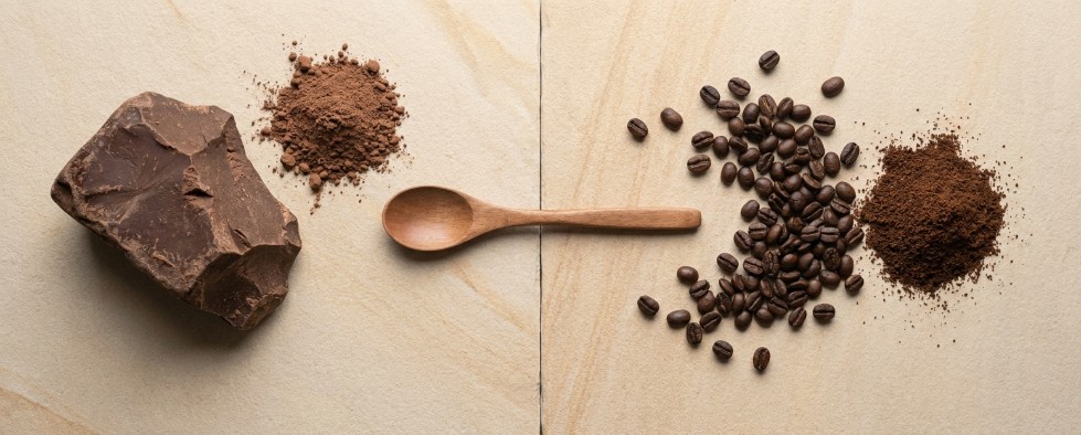 Raw cacao and coffee beans comparison